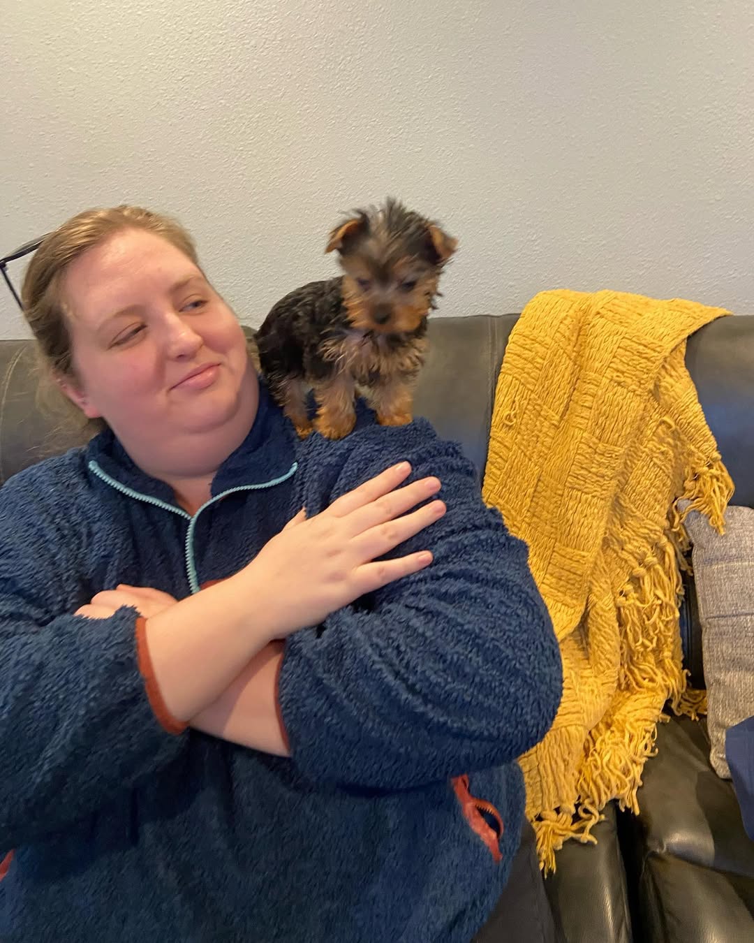 A Yorkie puppy being checked over before going to its new home