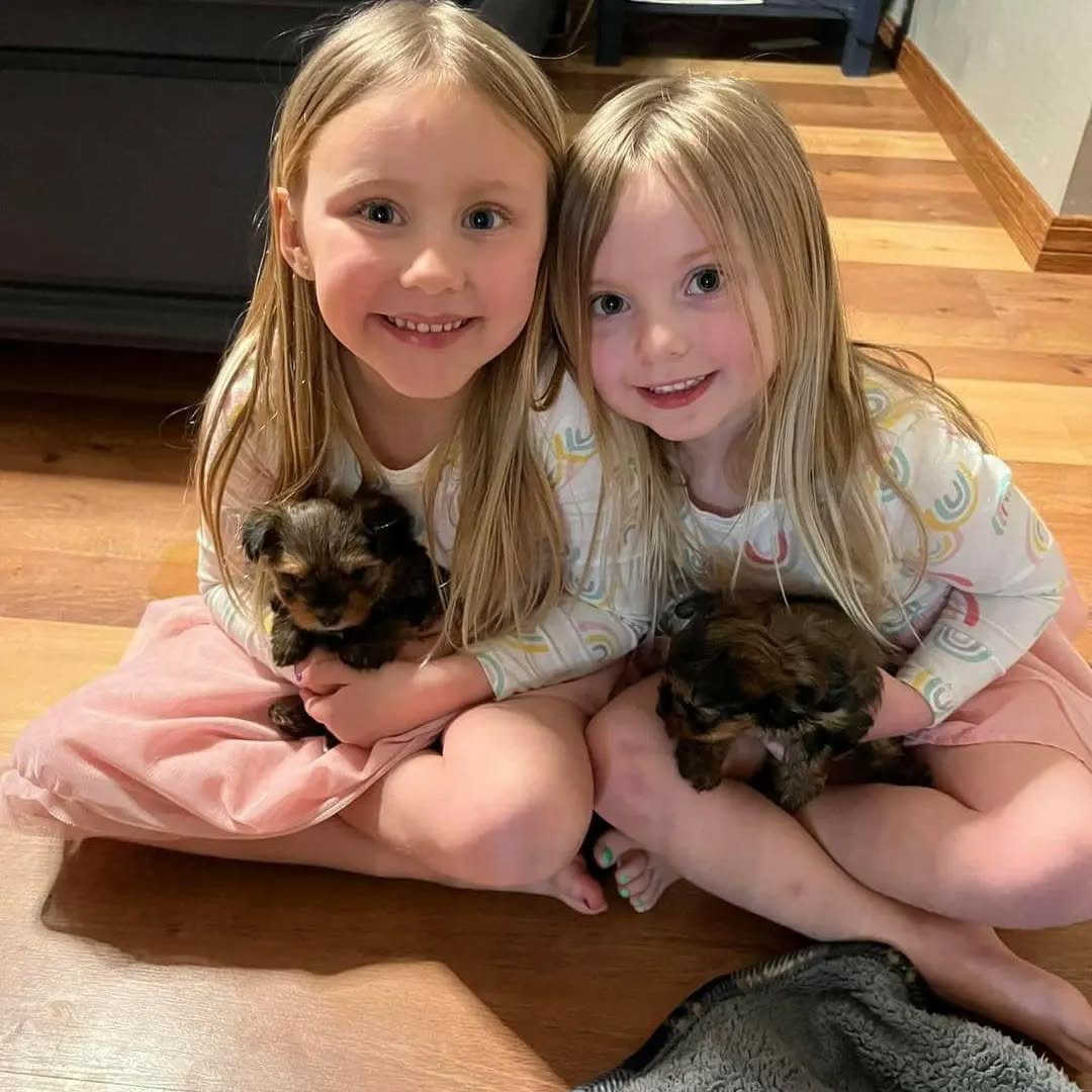 Two children holding a Yorkshire Terrier puppy at Susana Yorkie Puppies
