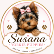 Susana Yorkie Puppies - Yorkshire Terrier breeder in Lena, Louisiana